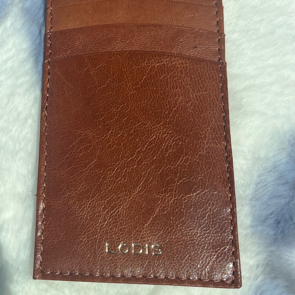 Lodis slim leather card Case RFID New